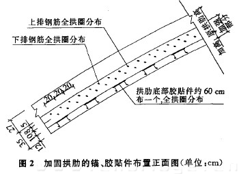 圖2 加固拱肋的錨、膠貼件布置正面圖（單位：cm）