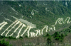 國內(nèi)最驚險(xiǎn)的六條公路