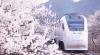 和諧號列車穿越居庸關花海