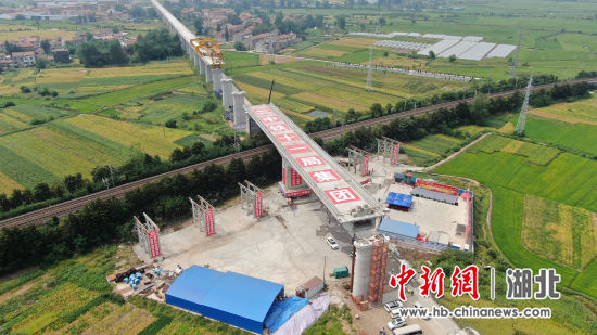 成功轉體后的安九高鐵長江特大橋引橋 徐云華攝